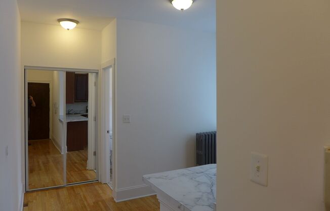 Studio, 1 bath, 551 sqft, $1,095, Unit 439-1