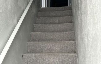 Newly renovated 3 BR 1.5BA 1400 sf townhouse located in near downtown Norfolk.