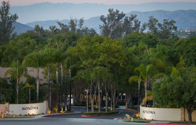 The image shows a beautiful Sonoma sign in front of a tree-lined street.