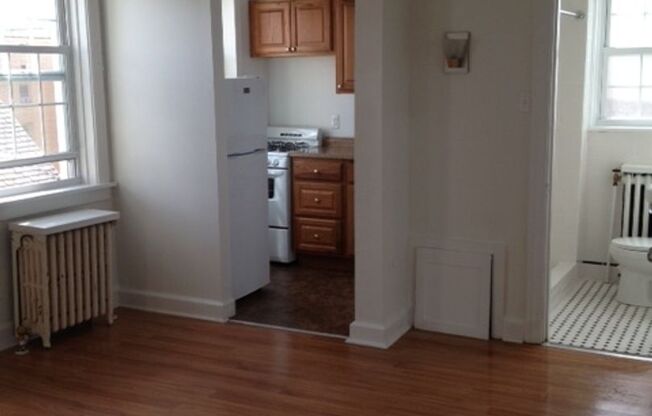 Studio, 1 bath, 308 sqft, $1,200, Unit Bayard Manor 310