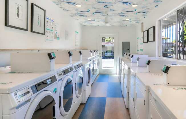 a washer and dryer laundry room with rows of washers and dryers