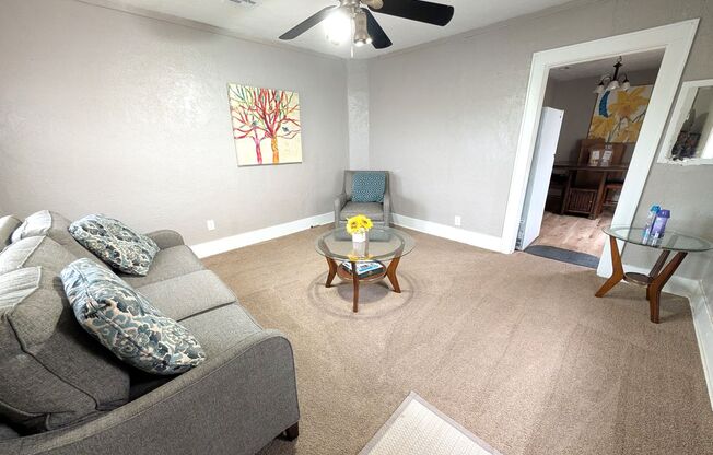 Furnished 1/1