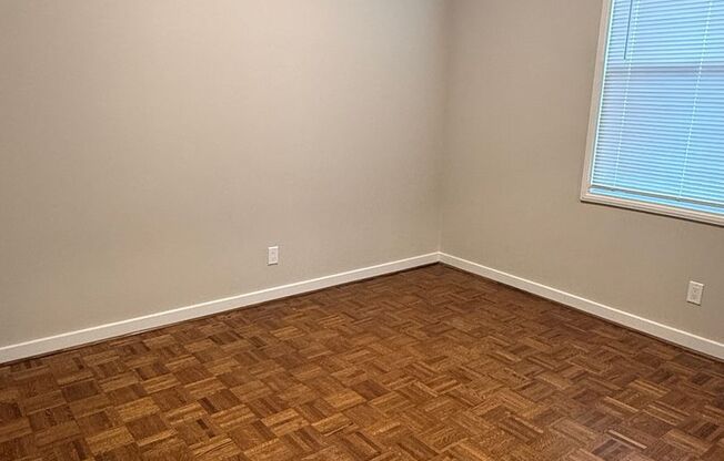 Chestnut Street-1312