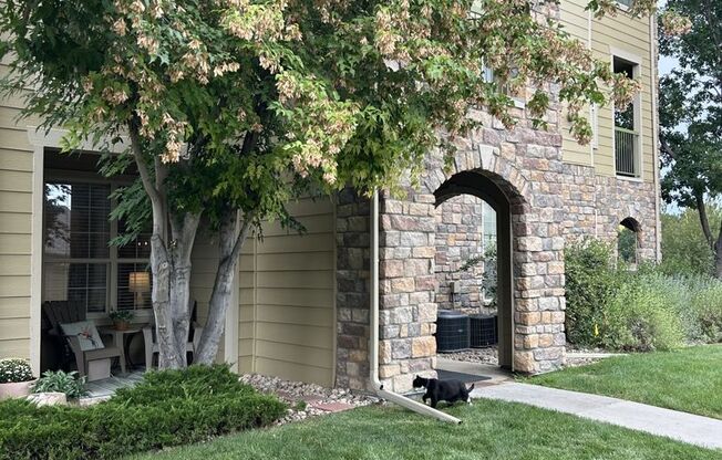 Great Condo in S/E Fort Collins