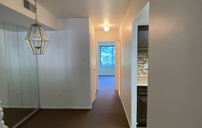 1 bed, 1 bath, $1,245