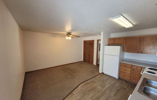 1 bed, 1 bath, 500 sqft, $825, Unit 102