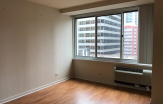 Nice one bedroom in Streeterville