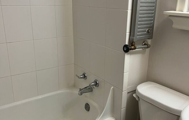 Studio, 1 bath, 325 sqft, $595, Unit 2419 #10