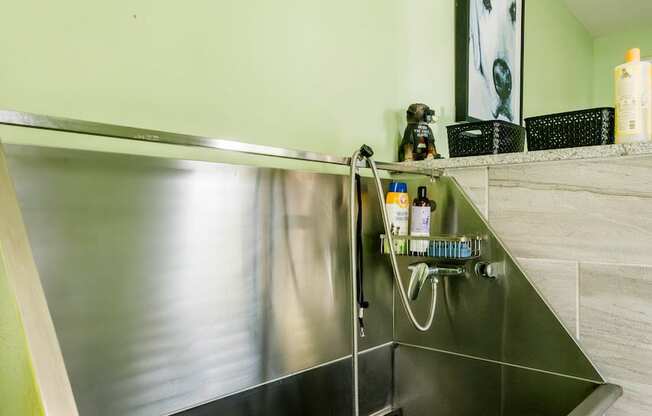 a stainless steel sink in a kitchen with green walls