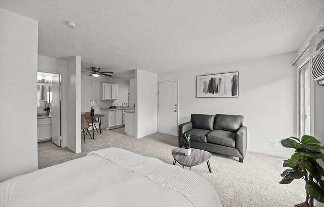 A living room with a grey couch and a white bedspread.