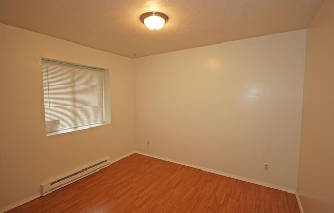 1 bed, 1 bath, 500 sqft, $1,250, Unit A