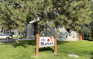 The Maples