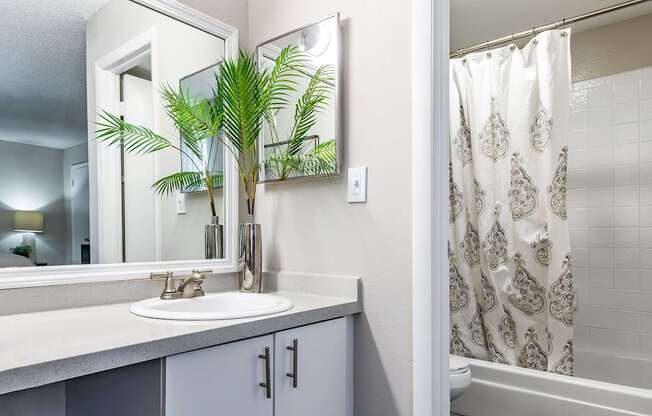 A bathroom with a sink, mirror, and a potted plant.