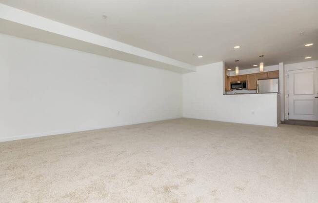 A large empty room with a carpeted floor and a kitchen area in the background.