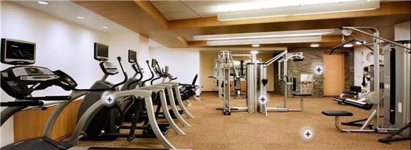 Studio, 1 bath, 500 sqft, $3,695, Unit 609