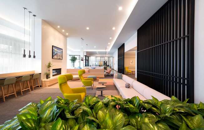 A living room with a yellow chair and a green plant.
