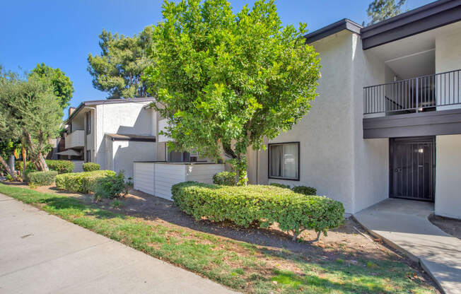 a white apartment building with a sidewalk and trees in front of it