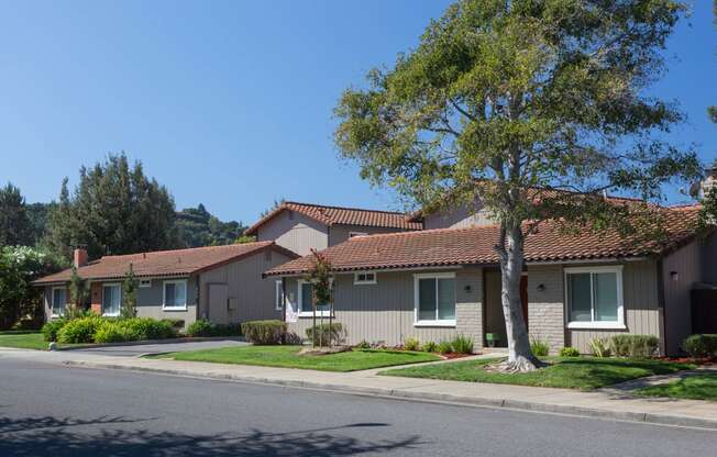 Welcome to Village Patio Homes & Apartments