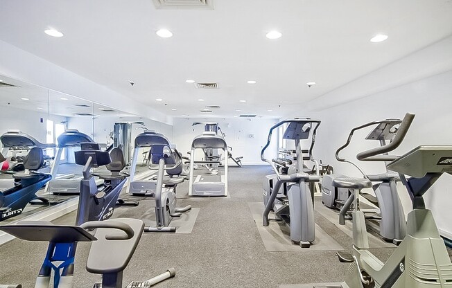 1 bed, 1 bath, 778 sqft, $2,600, Unit 1003