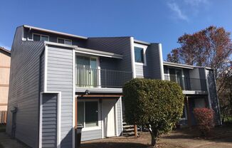 1 Bedroom Apartment ~ Close to Campus ~ Cat Friendly