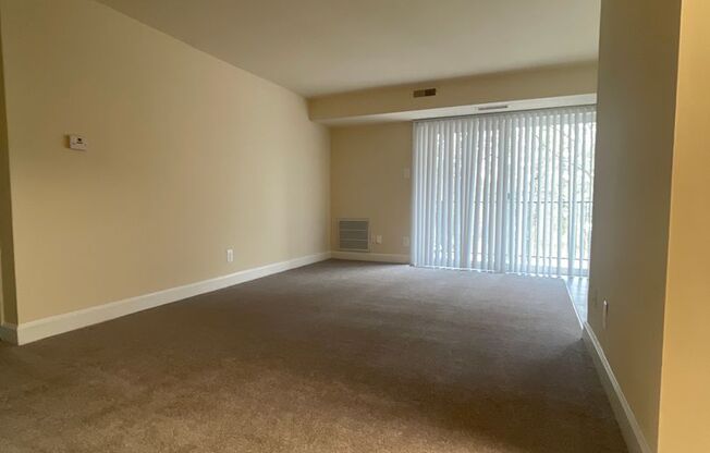 1 bed, 1 bath, 745 sqft, $1,750, Unit 14235 #304