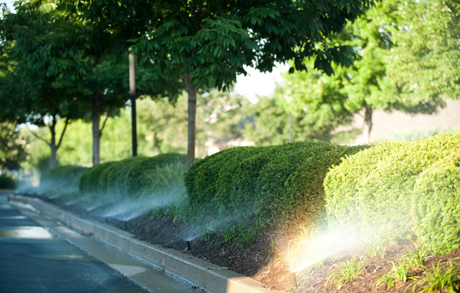 1 bed, 1 bath, 671 sqft, $1,559, Unit 28-28203