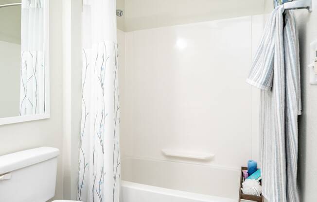 a white bathroom with a shower and a toilet