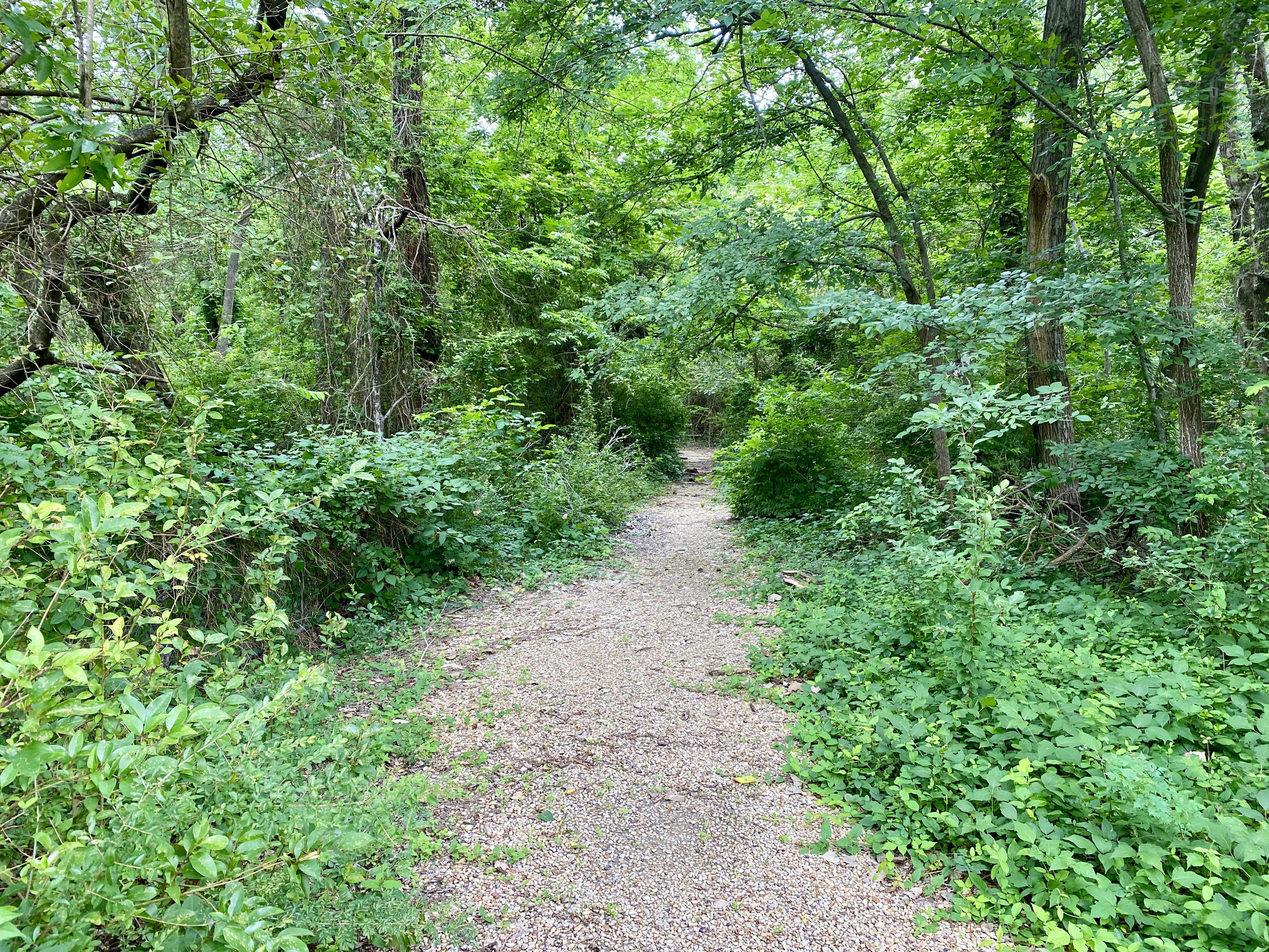 Trails at White Rock Lake in Dallas