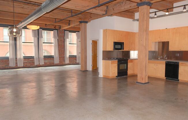 Live in the Heart of the Downtown Loft District! Dorsa Lofts #402