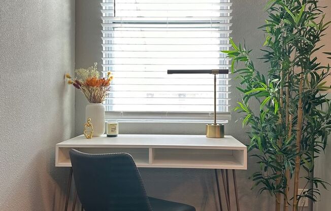 Studio, 1 bath, 500 sqft, $1,099, Unit 5209