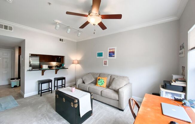 Nantucket Walk #314 - Dog Friendly!