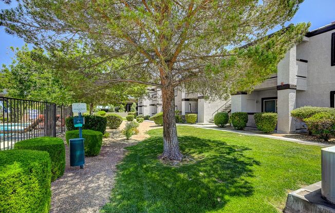1 bed, 1 bath, $1,500