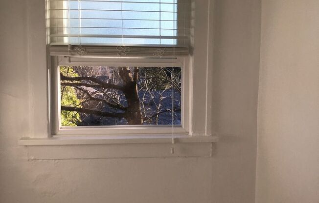 Studio, 1 bath, 310 sqft, $1,299, Unit 204