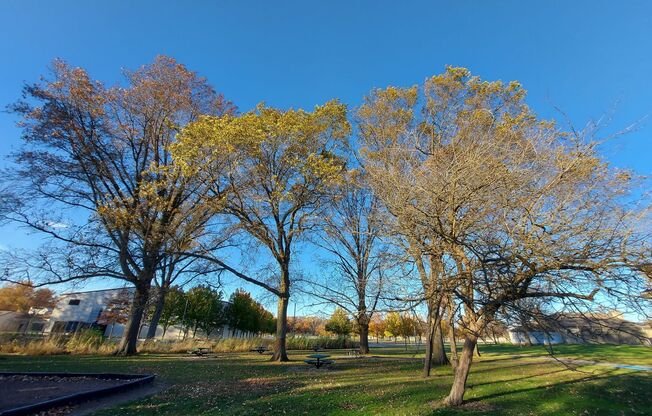 1 bed, 1 bath, 500 sqft, $749, Unit Renovated