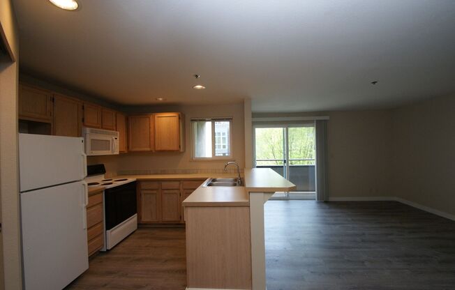 Studio, 1 bath, 452 sqft, $1,450, Unit 209