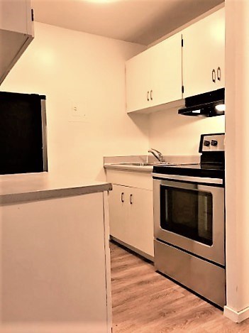 1 bed, 1 bath, 300 sqft, $1,350, Unit 208