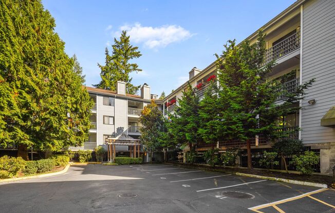 Charming, Updated 1-Bedroom Condo in Prime Location Near Light Rail