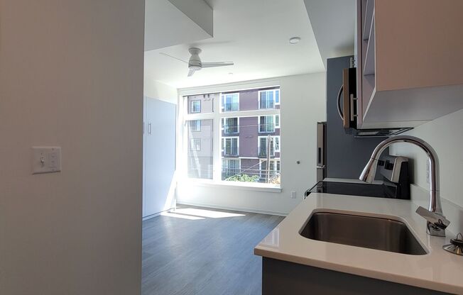 Studio, 1 bath, 238 sqft, $1,390, Unit 505