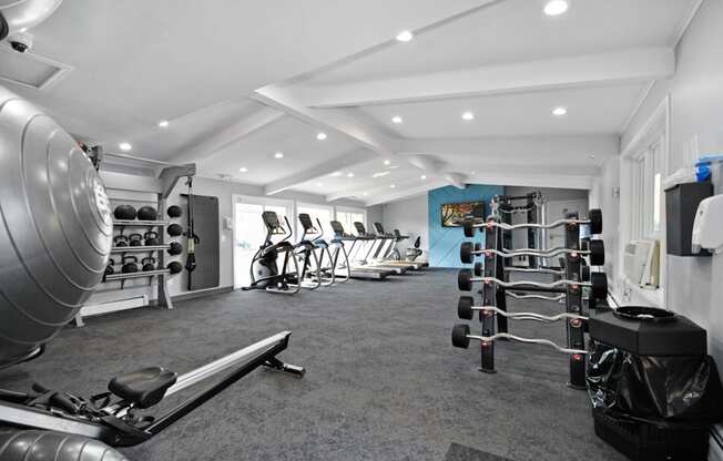 workout equipment and machines in The Haven at Grosse Pointe fitness center
