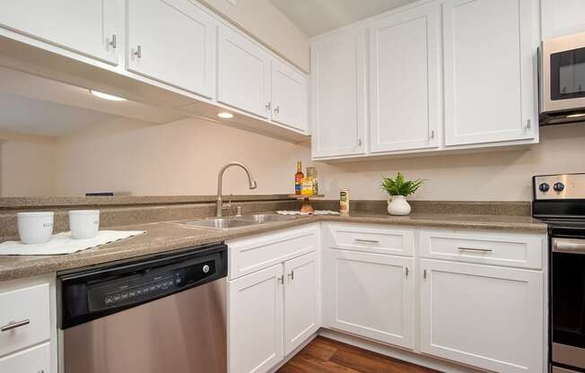 Dishwasher in Kitchen at Wilbur Oaks Apartments, Thousand Oaks