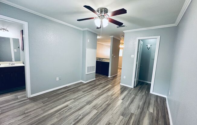 Studio, 1 bath, 500 sqft, $795, Unit 114