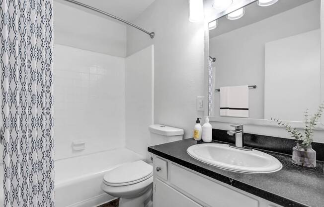 a bathroom with a sink and a toilet and a shower