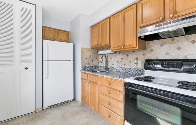 Studio, 1 bath, 387 sqft, $1,450, Unit 509