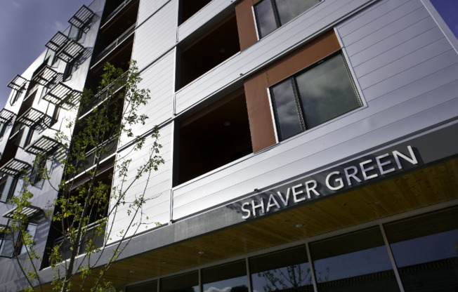375 NE SHAVER