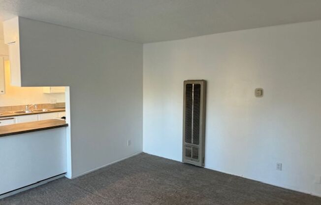 1 bed, 1 bath, $1,150, Unit UNIT 8