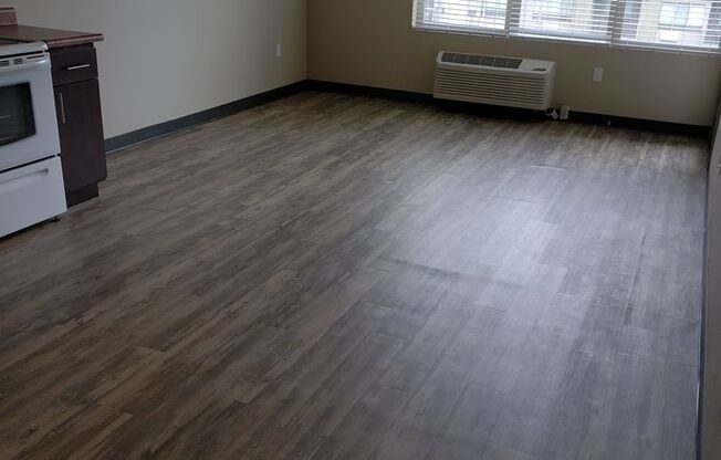 Studio, 1 bath, 448 sqft, $1,125, Unit 2-107W