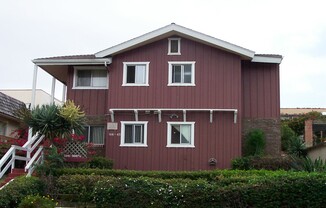 204
