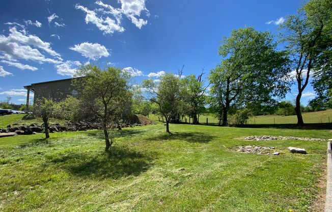 1 bed, 1 bath, 600 sqft, $1,195, Unit 262- Seals