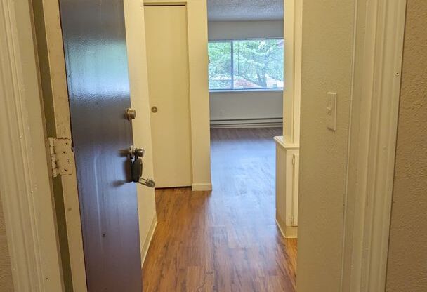 1 bed, 1 bath, 700 sqft, $1,125, Unit #33