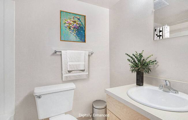 a bathroom with a toilet and a sink and a mirror at Old Farm Apartments, Elkhart, 46517